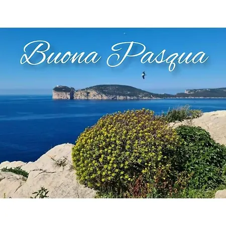Lejlighed Casa Benedetta, Attico Intero Con 2 Terrazze E Scorcio Vista Mare O Camera Con Bagno Privato In Appartamento Condiviso Alghero